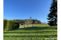 Ensemble de 2 maisons sur 2 hectares à Vimartin sur Orthe