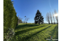 Ensemble de 2 maisons sur 2 hectares à Vimartin sur Orthe