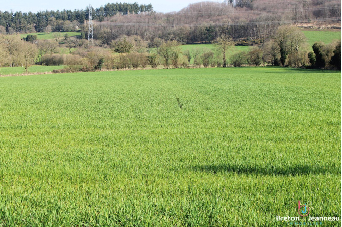 Exploitation agricole sur 45 Ha à Juvigné