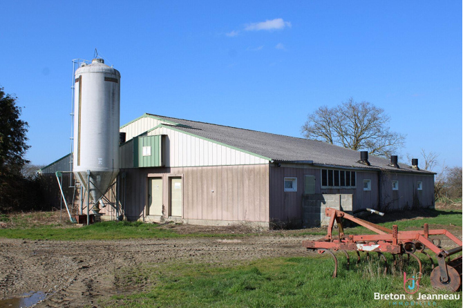 Exploitation agricole sur 45 Ha à Juvigné