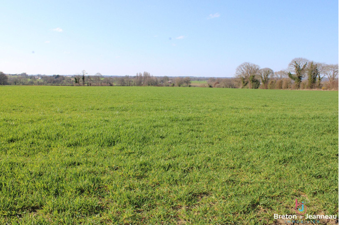 Exploitation agricole sur 45 Ha à Juvigné