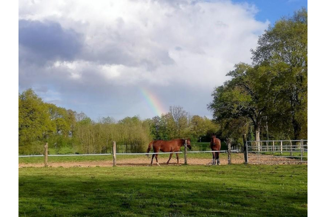 Propriété sur 5 ha secteur Meslay du Maine