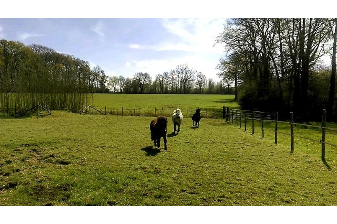 Propriété sur 5 ha secteur Meslay du Maine