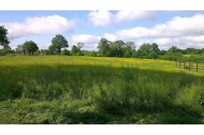 Propriété sur 5 ha secteur Meslay du Maine
