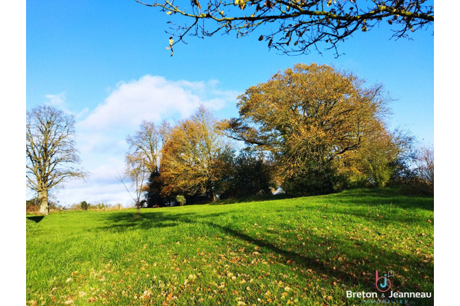 Corps de ferme en campagne secteur Mayenne