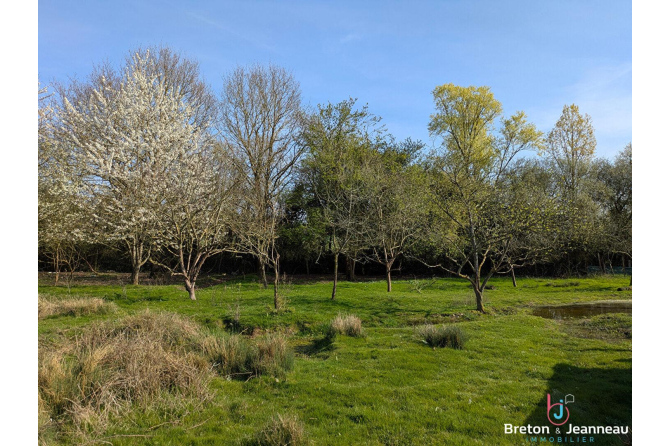 Maison en pierres avec 8 hectares proche du Mans