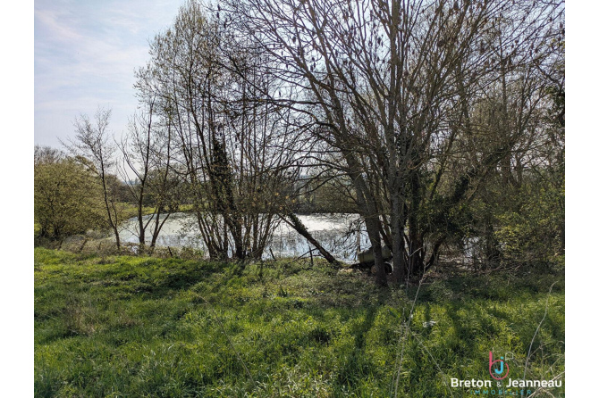 Maison en pierres avec 8 hectares proche du Mans