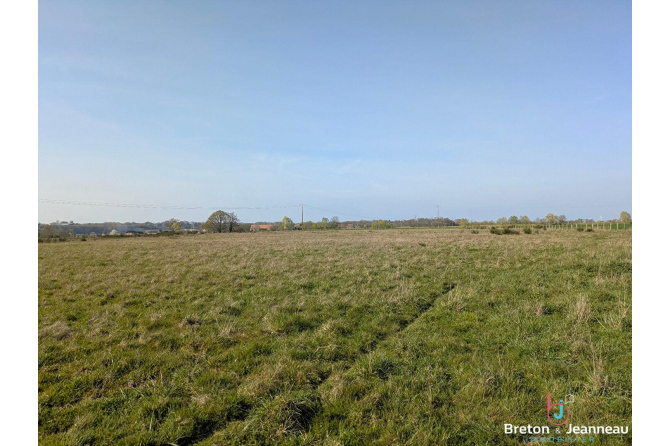 Maison en pierres avec 8 hectares proche du Mans