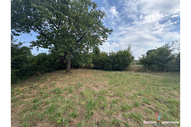 Ancien corps de ferme sur plus de 7 hectares de terres à St Denis de Gastines