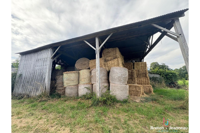 Ancien corps de ferme sur plus de 7 hectares de terres à St Denis de Gastines