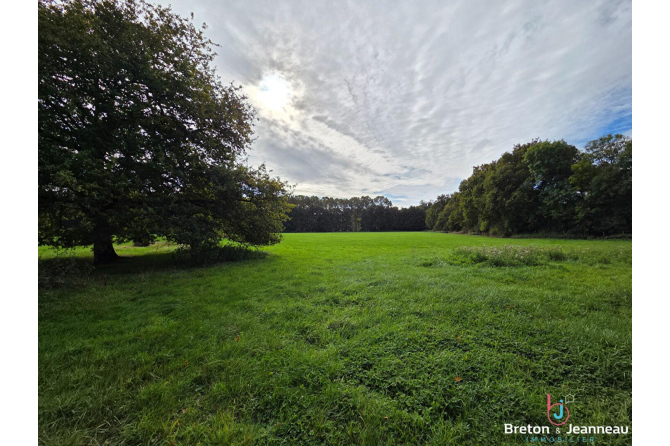Corps de ferme sur 8 ha 34 à Bandouet-St Jean