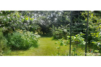 Maison à rénover à Vimartin sur Orthe