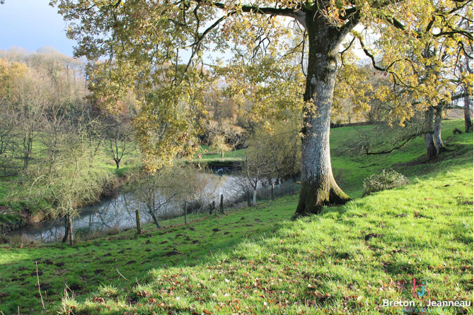 Corps de ferme sur 2 ha 52 à Ernée