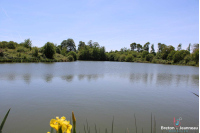 Terrain de 3 ha 90 avec un plan d'eau de 1 ha 40 en Mayenne