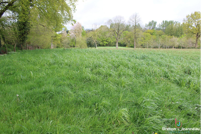 Maison au 1 hectare à La Pellerine