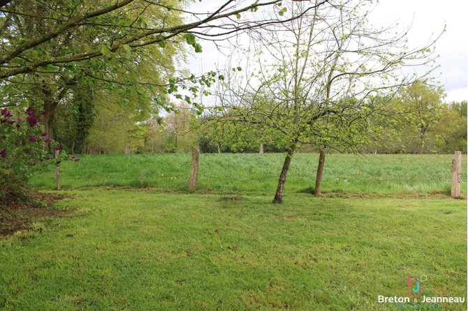 Maison au 1 hectare à La Pellerine