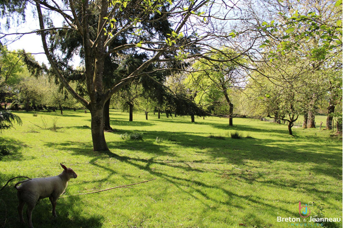 Maison 82 m² en campagne à Vautorte