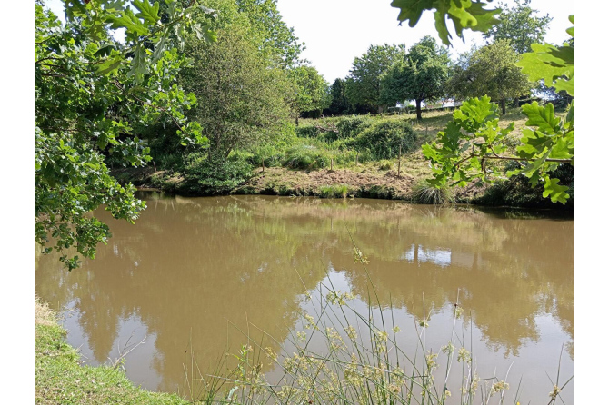 Maison sans voisins avec étang à 8 kms de Mayenne