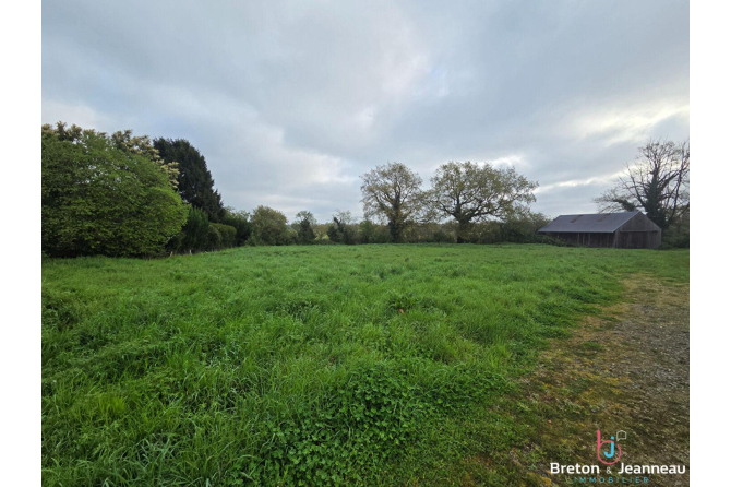 Terrain de 2546 m² à Saint Georges Le Fléchard