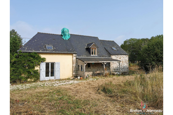 Maison sur 1 hectare 06 à Jublains