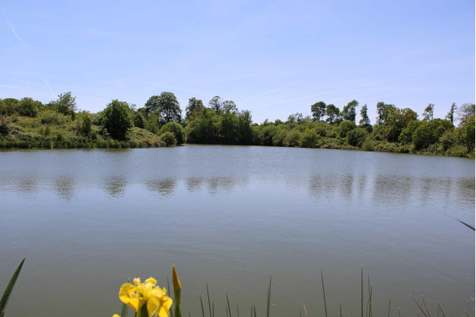 Terrain de loisirs de 3 ha 90 avec un plan d'eau de 1 ha 40