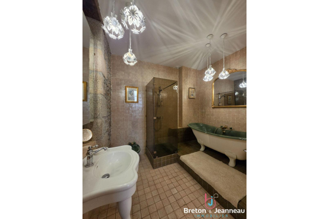 Superbe Hôtel Particulier à Mayenne