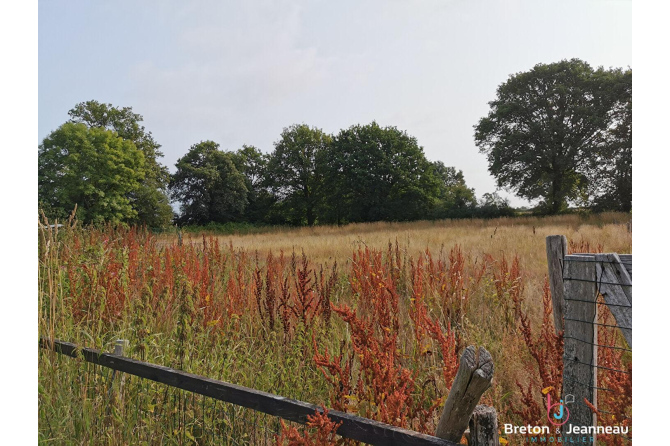 Maison sur 1 hectare 06 à Jublains