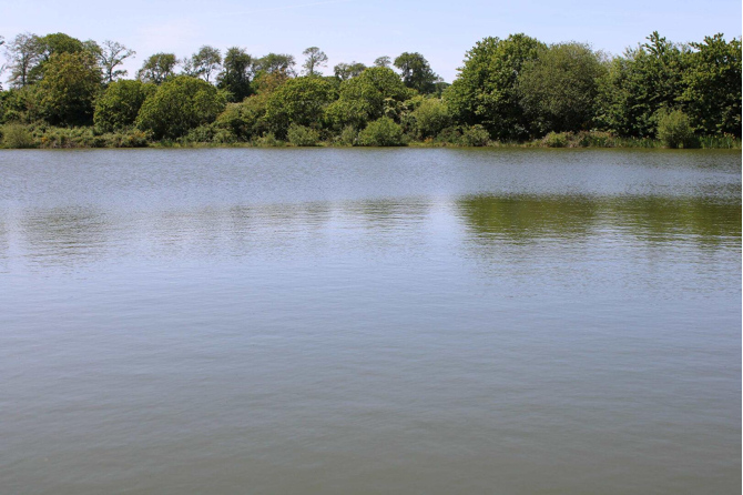 Terrain de loisirs de 3 ha 90 avec un plan d'eau de 1 ha 40