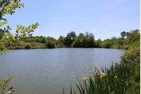 Terrain de loisirs de 3 ha 90 avec un plan d'eau de 1 ha 40