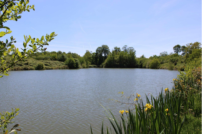 Terrain de loisirs de 3 ha 90 avec un plan d'eau de 1 ha 40