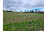 Terres agricoles de 8 ha à St Christophe du Luat