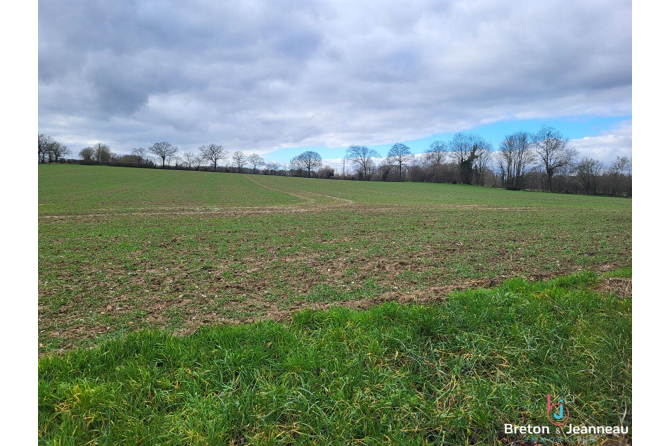 Terres agricoles de 8 ha à St Christophe du Luat