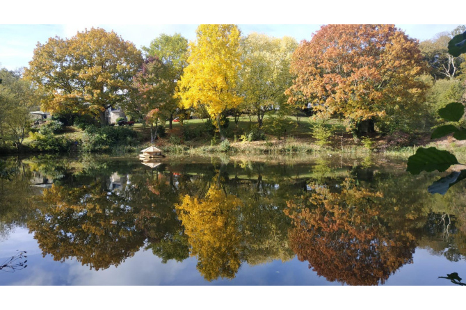 Propriété sur 2 ha 6 avec plan d'eau