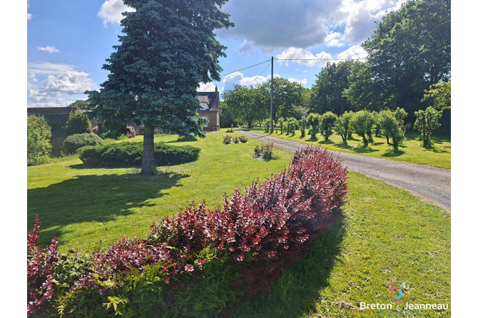 Maison sur 7500 m² à Juvigné
