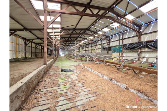Ferme sur 38 Hectares à Domfront