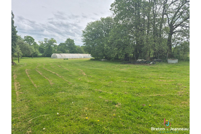 Longère sur 4 hectares à Châtillon-sur-Colmont