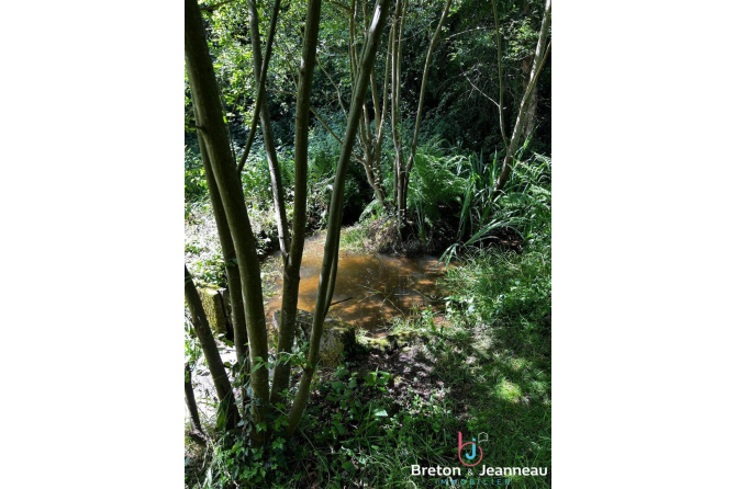 Jolie Maison de Campagne à Tinchebray Bocage