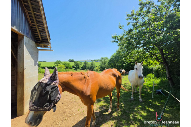 Superbe Propriété sur 2 hectares Secteur Bais