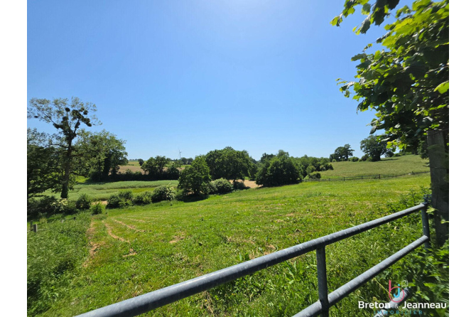 Superbe Propriété sur 2 hectares Secteur Bais