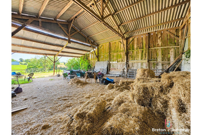 Superbe Propriété sur 2 hectares Secteur Bais