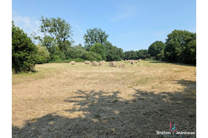 Maison Asse Le Berenger 5 pièce(s) 93 m2