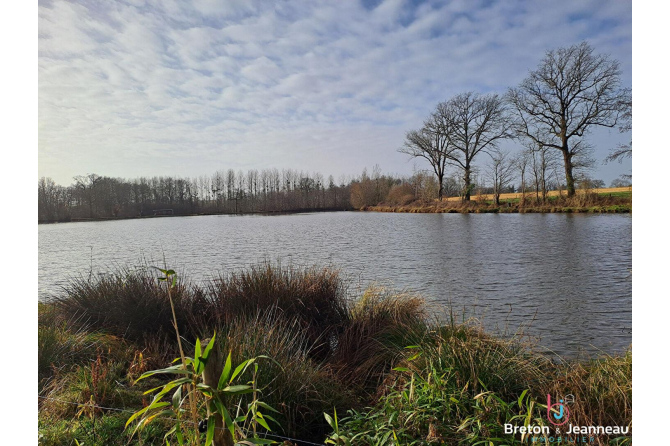 Plan d'eau de 2ha50, prairie et bois le tout sur 6ha environ à Juvigné