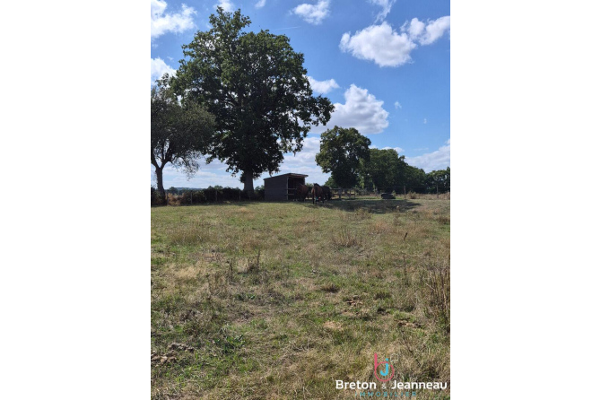 Maison en pierres sur 3 hectares 9 à Thuboeuf