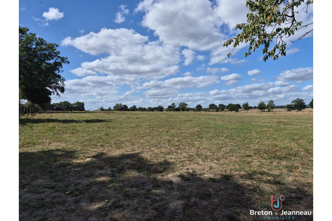 Maison en pierres sur 3 hectares 9 à Thuboeuf