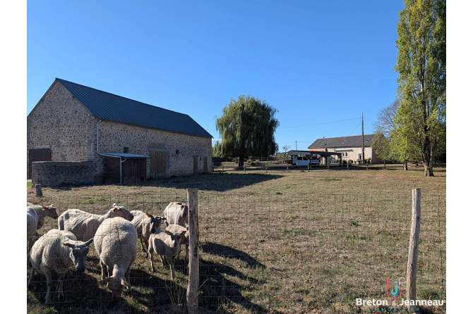 Maison sur 1,45 ha à Vaiges