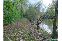 Plan d'eau et bois sur 1ha 65 à Martigné sur Mayenne