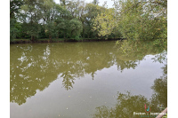 Plan d'eau et bois sur 1ha 65 à Martigné sur Mayenne