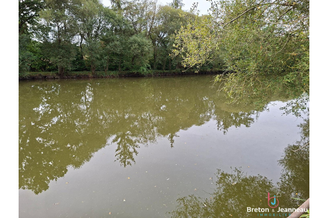 Plan d'eau et bois sur 1ha 65 à Martigné sur Mayenne