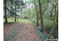 Plan d'eau et bois sur 1ha 65 à Martigné sur Mayenne