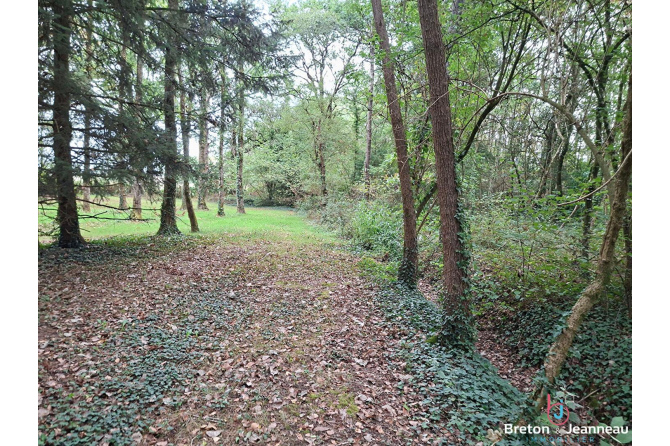 Plan d'eau et bois sur 1ha 65 à Martigné sur Mayenne
